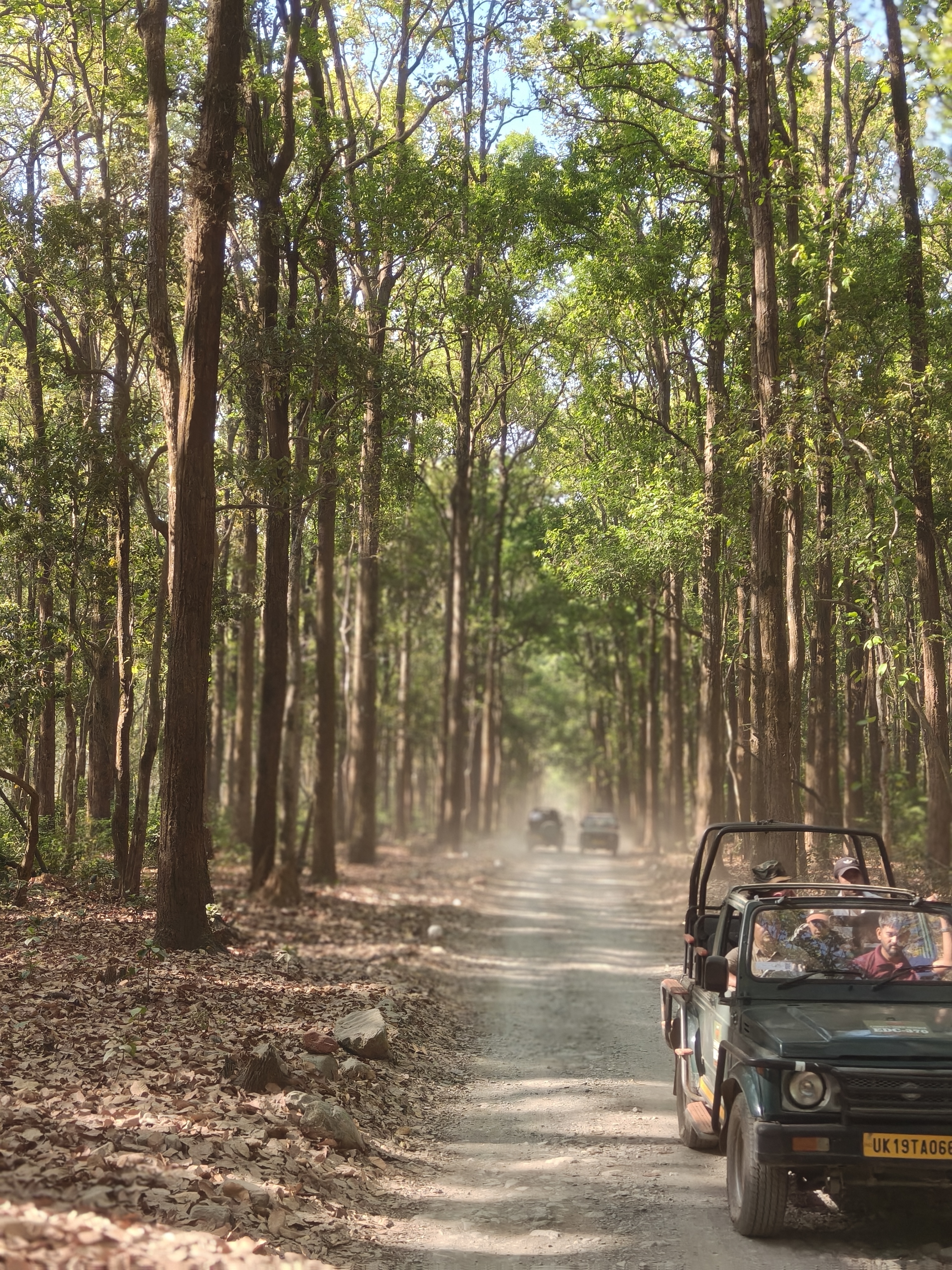 Delhi to Haridwar-Rishikesh-Mussoorie & Corbett Holiday Package